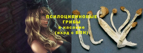 MESCALINE Щёлкино